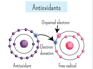 Free radicals and antioxidants