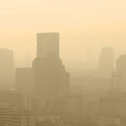 Environmental aggressors