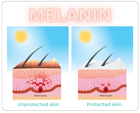 Melanin-1